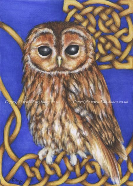 Illustration of Torrin the Tawny Owl