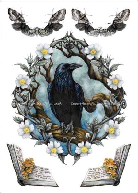 Illustration of a raven